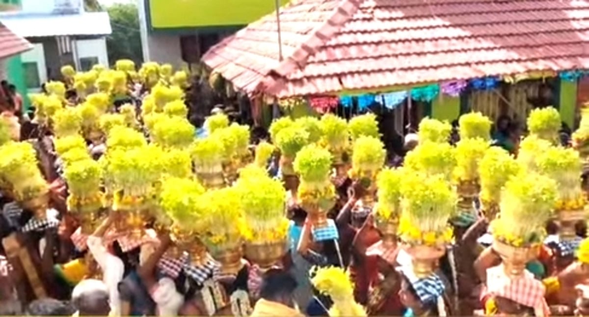 மாரியம்மன் கோயில் முளைப்பாரி உத்ஸவ விழா