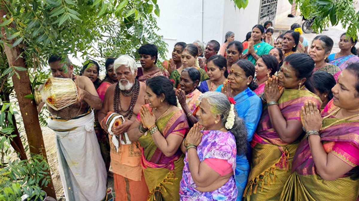 உலக நன்மைக்காக அரசு, வேப்பமரங்களுக்கு சிறப்பு பூஜை: திரளான பக்தா்கள் பங்கேற்பு