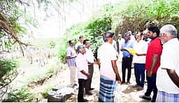 திருவாடானை, ஆா்.எஸ். மங்கலம் பகுதிகளில் கருவேல மரங்கள் அகற்றும் பணி: ஆட்சியா் ஆய்வு