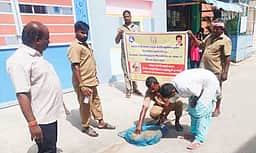 சோளிங்கரில் தெரு நாய்களுக்கு தீவிர வெறிநோய் தடுப்பூசி முகாம்