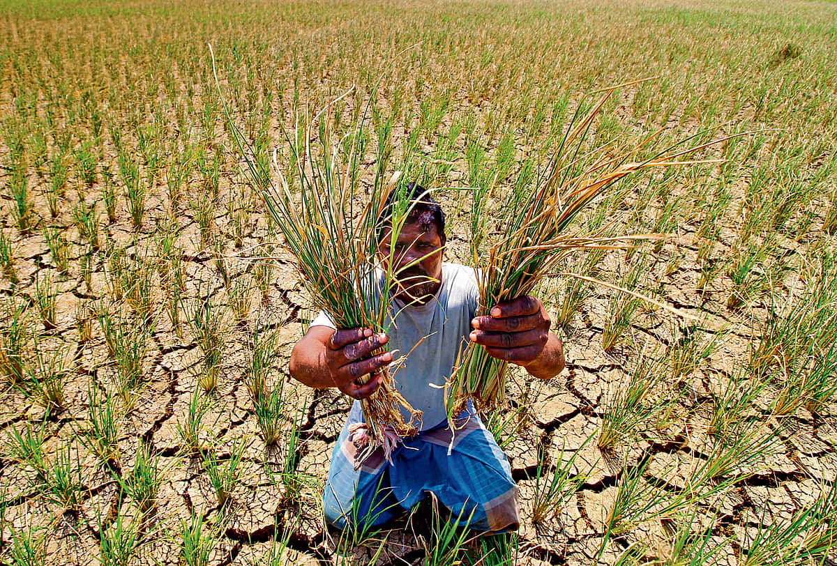 விரைவில் வறட்சி முன்னறிவிப்பு