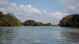 காவிரி நீரை திறக்க கர்நாடக அரசுக்கு உத்தரவிடக்கோரி தமிழ்நாடு அரசு நிலை அறிக்கை தாக்கல்
