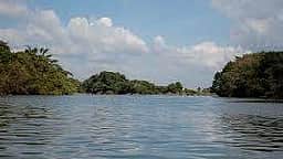 காவிரி நீரை திறக்க கர்நாடக அரசுக்கு உத்தரவிடக்கோரி தமிழ்நாடு அரசு நிலை அறிக்கை தாக்கல்