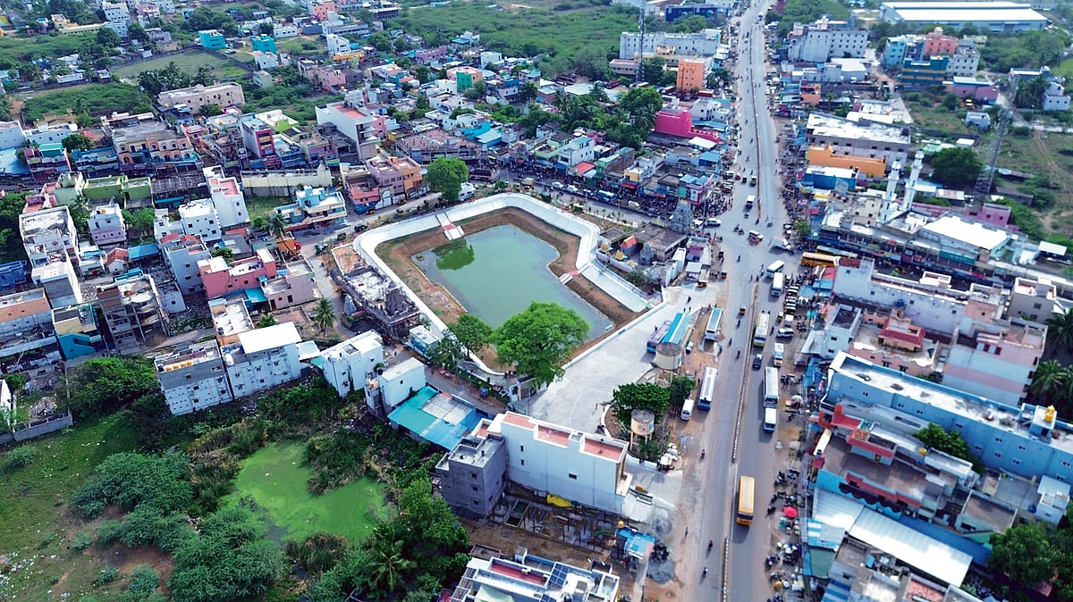 புதுப்பொலிவு பெற்ற குளம்...