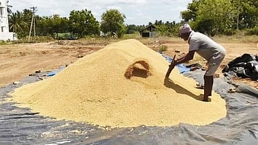 கோபி அருகேயுள்ள சிங்கிரிபாளையம் நெல்கொள்முதல் நிலையத்தில் குவிக்கப்பட்டுள்ள அறுவடை செய்த நெல்மணிகள்.