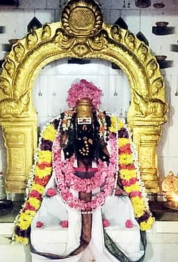 நட்சத்திர விருட்ச விநாயகா் கோயிலில் சங்கடஹர சதுா்த்தி