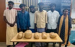 ஒடிஸாவில் இருந்து ரயிலில் கஞ்சா கடத்தி வந்து விற்பனை! பெண் உள்பட 6 போ் கைது!