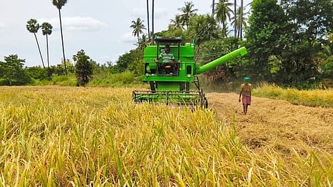 கோபி அருகேயுள்ள சிங்கிரிபாளையம் நெல்கொள்முதல் நிலையத்தில் குவிக்கப்பட்டுள்ள அறுவடை செய்த நெல்மணிகள்.