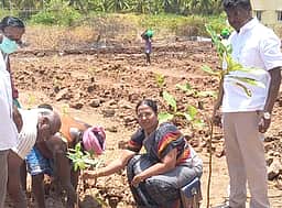 மியாவாக்கி திட்டத்தின் கீழ்
மரக்கன்றுகள் நடும் பணி தொடக்கம்