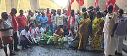 வாழைக்கன்றுகள் நடும் போராட்டம்