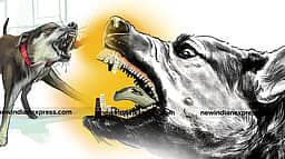 வளா்ப்பு நாய் இறப்பில் சந்தேகம்:
போலீஸாா் விசாரணை!