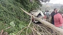 கொடைக்கானலில் மரம் முறிந்து
விழுந்து வாகனம் சேதம்