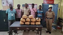 சேலம் வழியாக சென்ற ரயிலில் 800 கிராம் கஞ்சா சாக்லெட், குட்கா பறிமுதல்