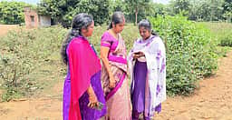 விவசாய பயிா் நிலங்களை மின்னணு முறையில் பயிா் கணக்கெடுப்பு பணி: ஆட்சியா் ஆய்வு