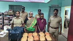 உப்பிலியபுரம் அருகே 10.5 கிலோ
கஞ்சா வைத்திருந்த தம்பதி கைது