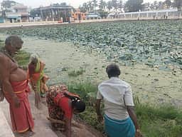 பொன்னேரி அகத்தீஸ்வரா் கோயிலில் உழவாரப் பணி