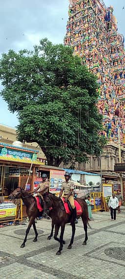 மீனாட்சி சுந்தரேசுவரா் கோயிலில்
குதிரைப்படை போலீஸாா் ரோந்து