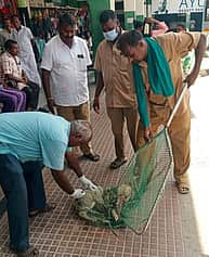 பெருந்துறையில் 542 தெரு நாய்களுக்கு வெறி நாய் தடுப்பூசி