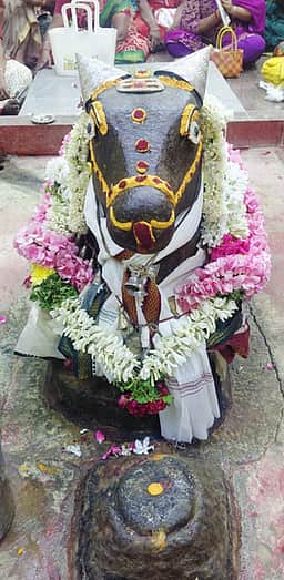 பழனி, நத்தம் சிவன் கோயில்களில் பிரதோஷ வழிபாடு