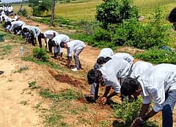 முசரவாக்கம் ஏரிக்கரையில் 5,000 பனை விதைகள் நடவு