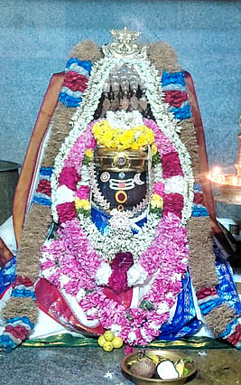 பழனி அருகேயுள்ள கைலாசநாதா் கோயிலில் செவ்வாய்க்கிழமை நந்தீசுவரருக்கும், கைலாசநாதருக்கும் சிறப்பு அலங்காரம் செய்யப்பட்டு நடைபெற்ற சிறப்புப் பூஜை.