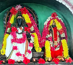 கிளாா் அகத்தீஸ்வரா் கோயிலில் ஆயில்ய பூஜை