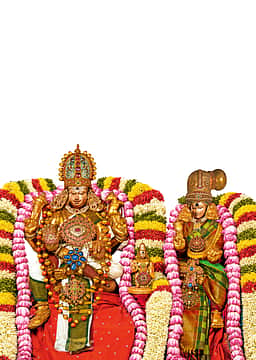 கோலாகலமாக நடந்தேறிய மீனாட்சியம்மன் பரிவார கும்பாபிஷேகம்!
