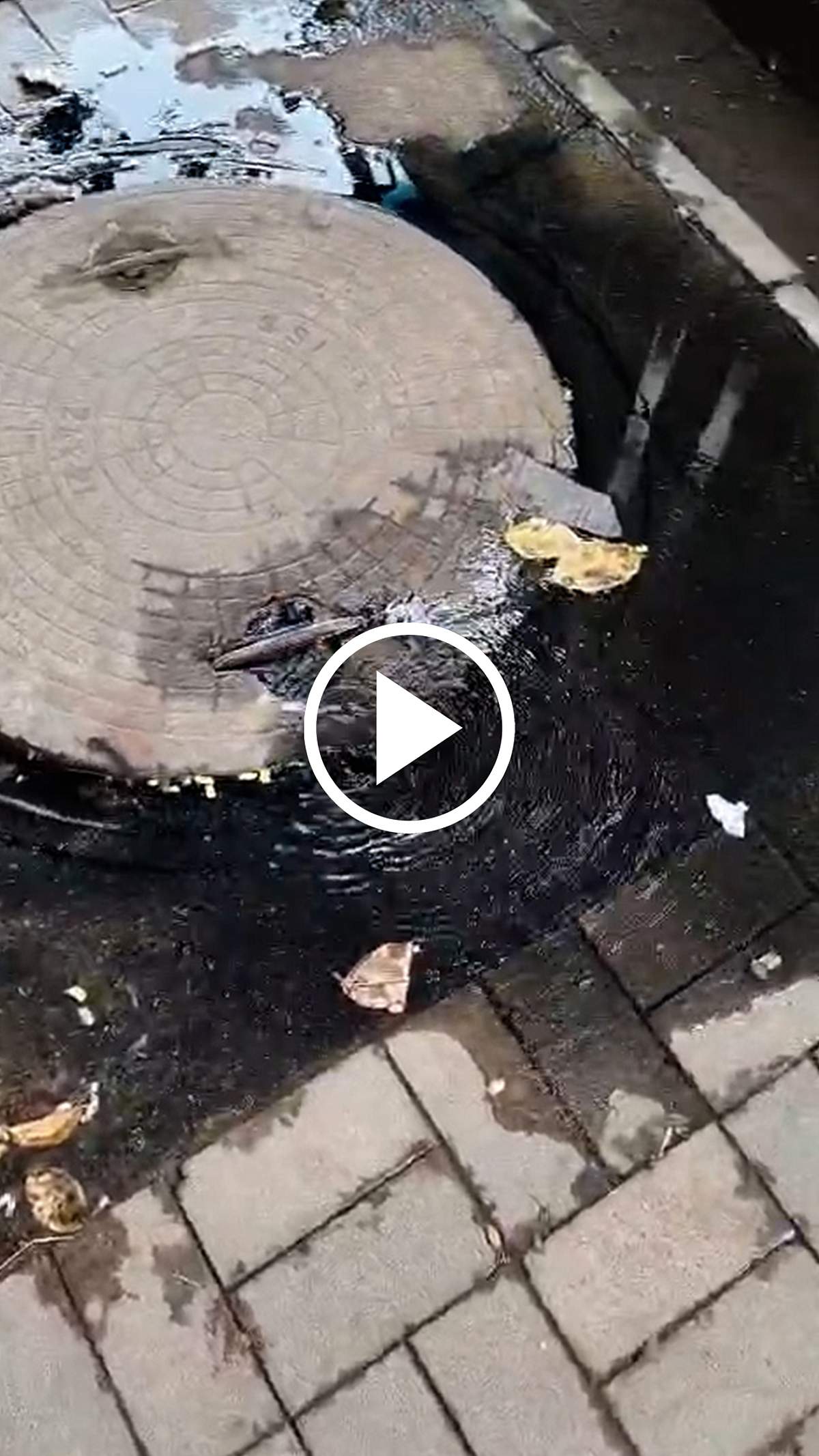 சாலையில் ஓடும் சாக்கடை நீர்! பொதுமக்கள் அவதி! | Ambattur | Chennai