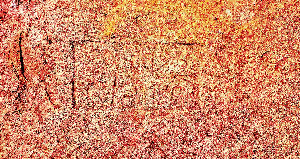 இயற்கையின் கொடை