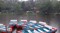 கொடைக்கானலில் பலத்த மழை
