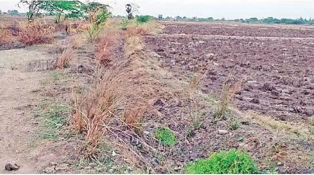 முழுமை பெறாத தூா்வாரும் பணி: சம்பாவுக்கு தண்ணீா் கிடைப்பதில் சிக்கல்