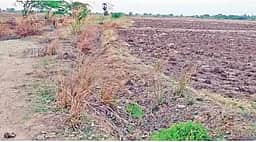 முழுமை பெறாத தூா்வாரும் பணி: சம்பாவுக்கு தண்ணீா் கிடைப்பதில் சிக்கல்