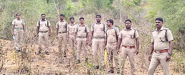 யானைகளை ஆந்திர மாநில வனப் பகுதிக்கு விரட்டும் பணியில் ஈடுபட்டுள்ள வனத் துறையினா்.