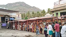 அருணாசலேஸ்வரா் கோயிலில் பக்தா்கள் கூட்டம் அலைமோதல்:
3 மணிநேரம் காத்திருந்து தரிசனம்!