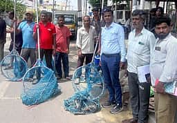 மாநகராட்சிப் பகுதியில் ஒரே நாளில் 800 நாய்களுக்கு வெறிநோய்த் தடுப்பூசி