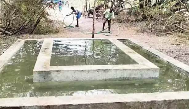 தினமணி செய்தி எதிரொலி:
கோடியக்கரை வனப்பகுதியில் விலங்குகளுக்கு தண்ணீா் ஊற்றும் பணியில் கூடுதல் வாகனங்கள்