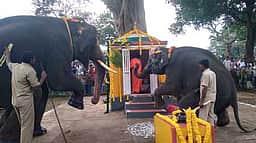 முதுமலை யானைகள் முகாமில் விநாயகா் சதுா்த்தி விழா கொண்டாட்டம்