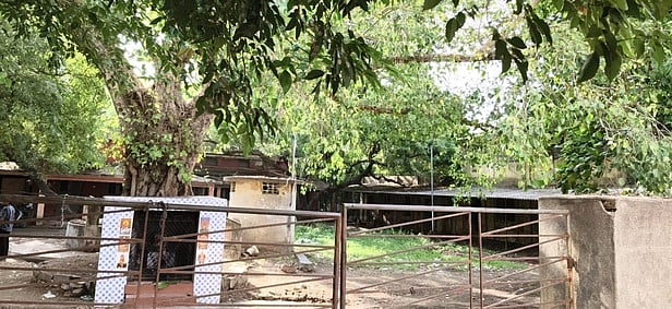 Story image