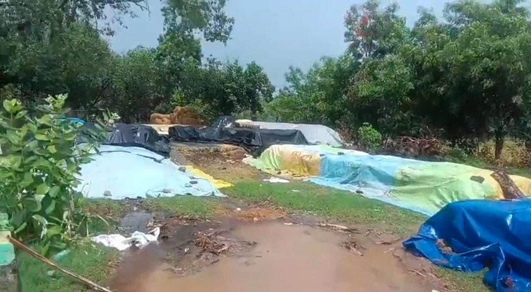 சீா்காழி பகுதியில் பலத்த மழை:
நெல் மூட்டைகள் சேதம்