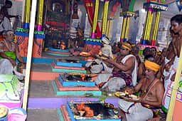 மதுரை மீனாட்சி சுந்தரேசுவரா் கோயிலில் நாளை குடமுழுக்கு