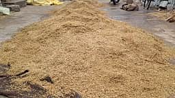 அம்பாசமுத்திரம் அருகே
மழையில் வீணாகும் நெல் மூட்டைகள்: கொள்முதல் செய்ய கோரிக்கை