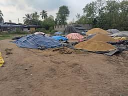 தொழிலாளா்கள் பற்றாக்குறை: பெண்ணாடத்தில் 10 நாள்களாக நெல் கொள்முதல் நிறுத்தம்-
4000 நெல் மூட்டைகள் சேதமாகும் அபாயம்