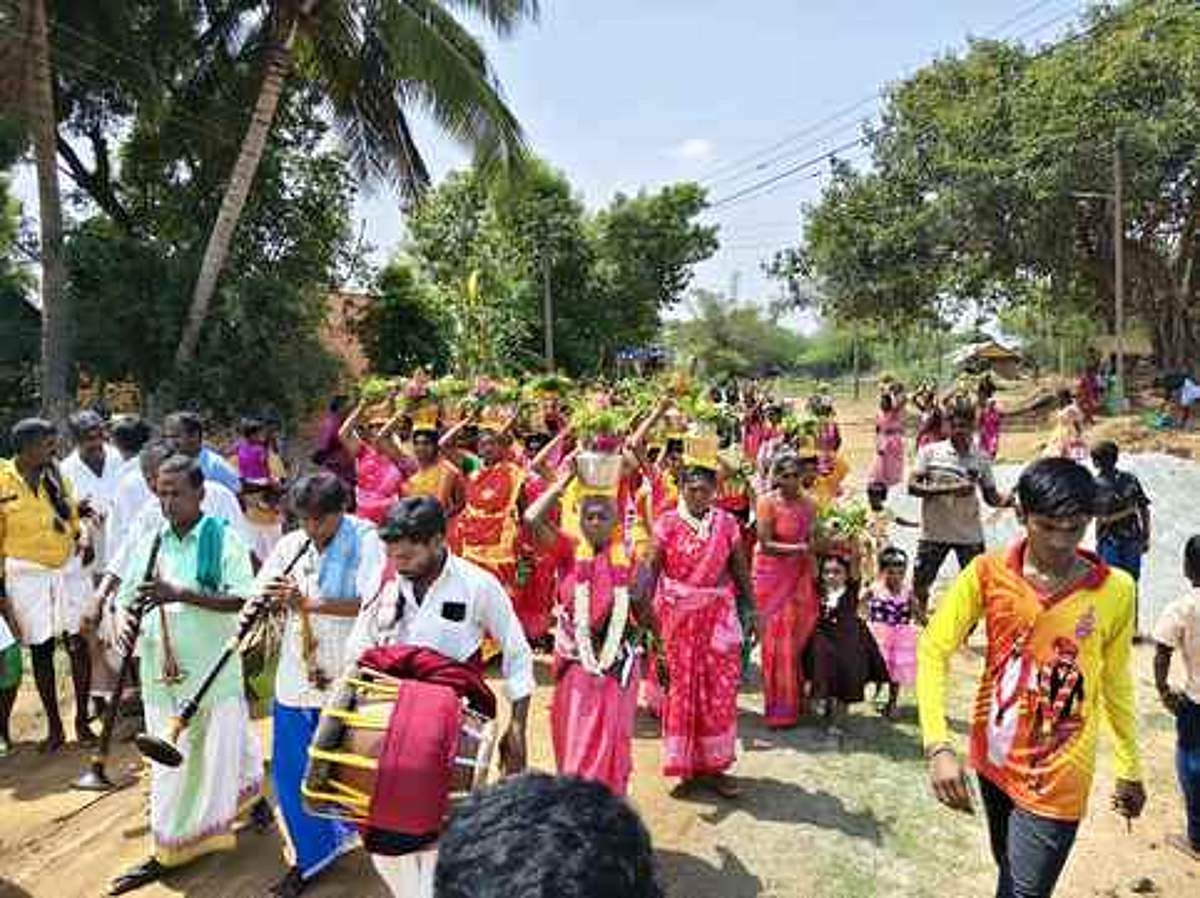 இடையாா் மகாசக்தி மாரியம்மன்
கோயிலில் பால்குடத் திருவிழா