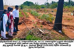 பாளை. வட்டாரத்தில் வளா்ச்சிப் பணிகள்: ஆட்சியா் ஆய்வு