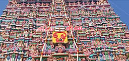குடமுழுக்கு! மீனாட்சி அம்மன் கோவில் கோபுரங்களில் மலர் மாலைகள் சாற்றும் பணி!