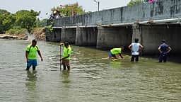 விநாயகா் சிலையை ஆற்றில் கரைத்தபோது
தங்கச் சங்கிலி மாயம்: தேடும் பணியில் ஈடுபட்ட தீயணைப்பு வீரா்கள்