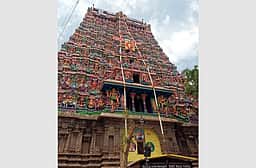 மீனாட்சிசுந்தரேசுவரா் கோயில்
கோபுரங்களுக்கு மாலைகள் அணிவிப்பு