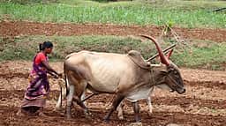 வேளாண் இடரும், தீர்வும்...