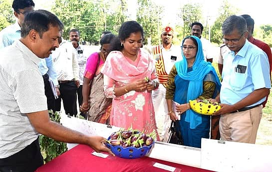 ‘மா’ விவசாயிகள் உற்பத்தியாளரிலிருந்து ஏற்றுமதியாளராக மாற வேண்டும்!