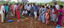 திண்டிவனம் ஊராட்சியில் ரூ.65 லட்சத்தில் மேய்க்கால் நிலம் மேம்படுத்தும் திட்டப் பணி: எம்எல்ஏ தொடங்கிவைத்தாா்